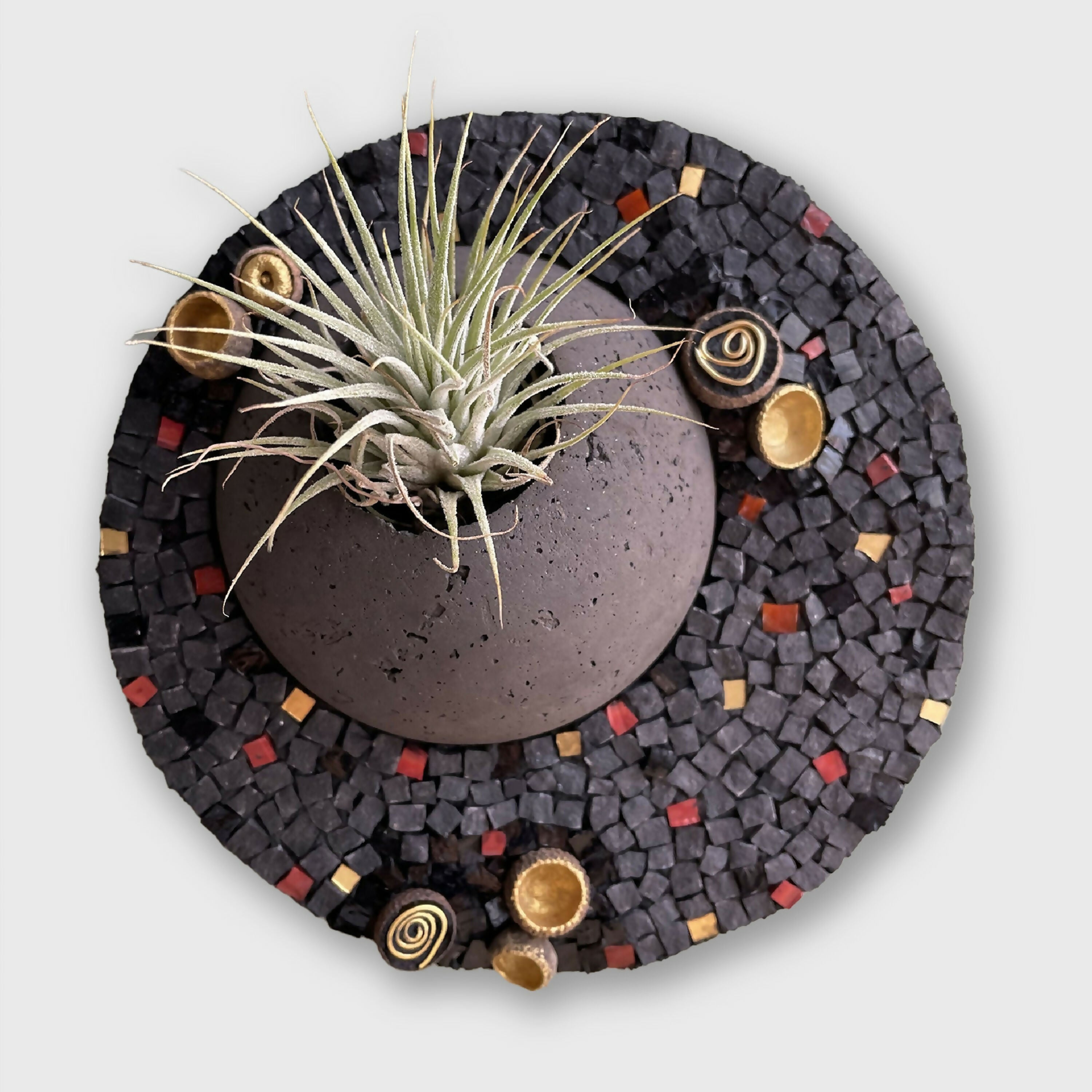 tableau_vegetal_mosaique_noir_dore_tillandsia_cupules_de_glands_musea_mosaique copie | EMPREINTES Paris