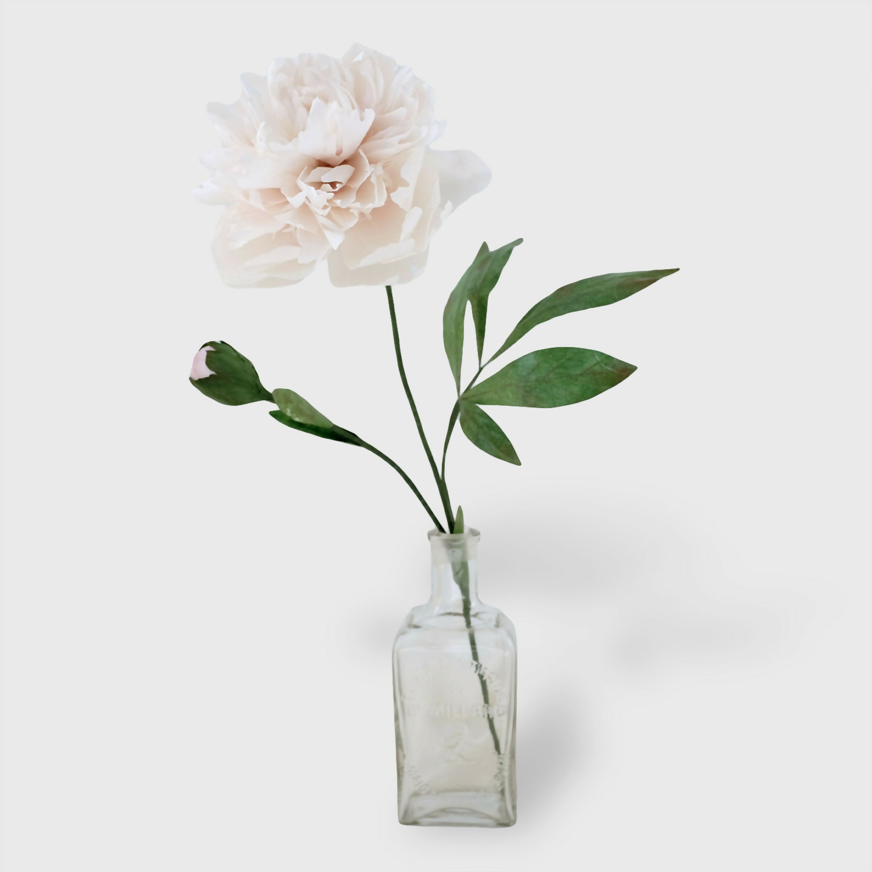Pivoine blanche en papier | EMPREINTES Paris