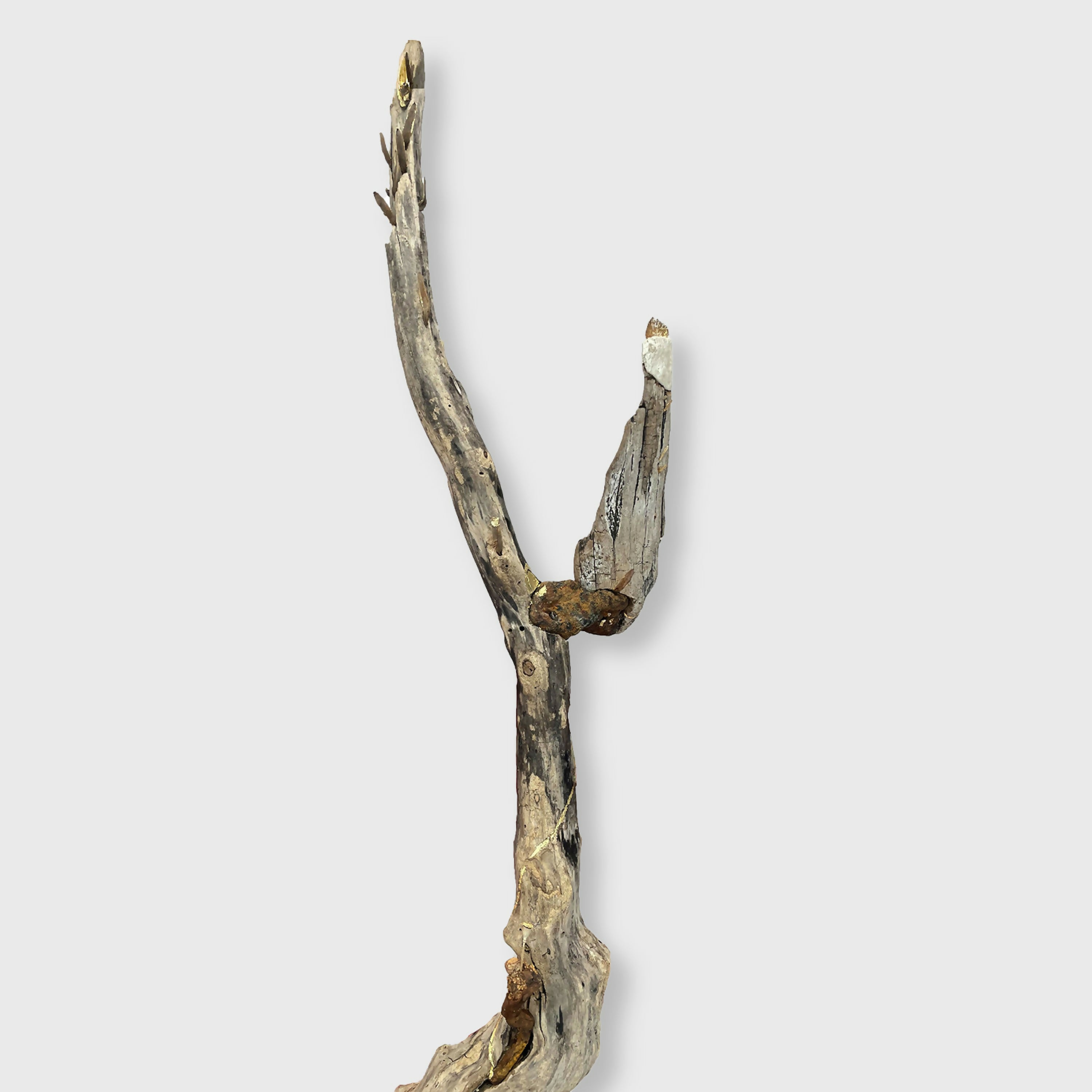 composition_fusion_douce_creaturquoise copie | EMPREINTES Paris