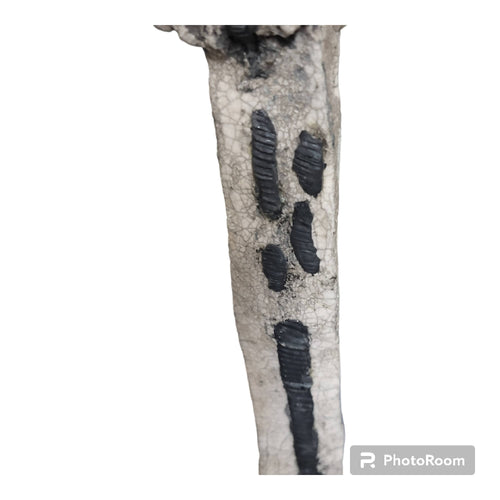 Sculpture raku Warm | EMPREINTES Paris - EMPREINTES Paris