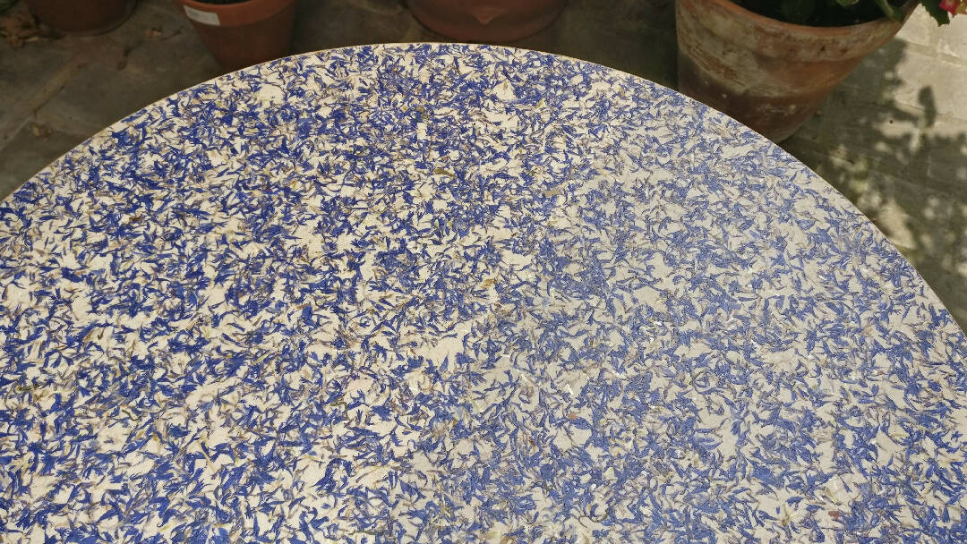 Plateau Bleuets | EMPREINTES Paris