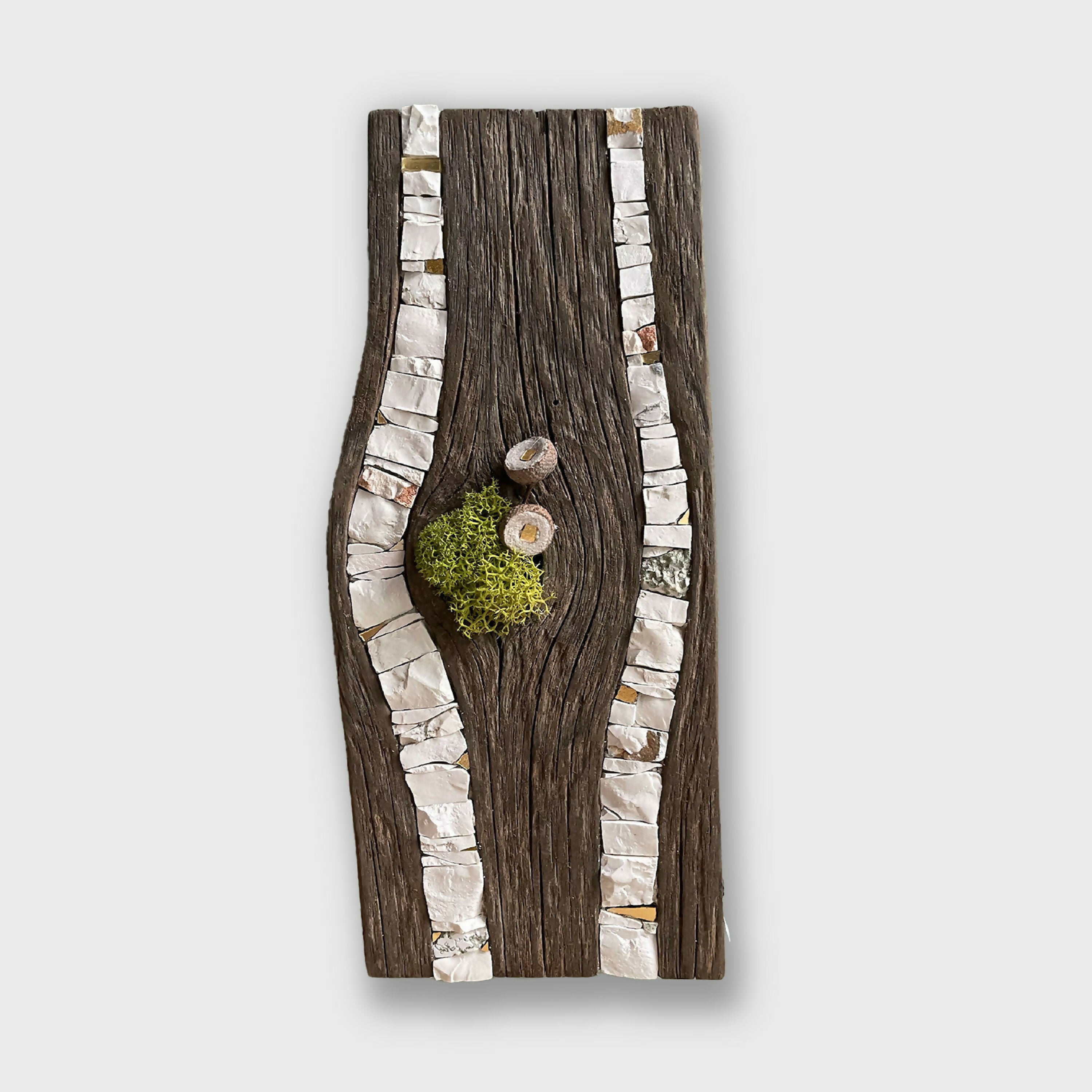 tableau_bois_mosaique_lichen_cupules_musea_mosaique copie | EMPREINTES Paris