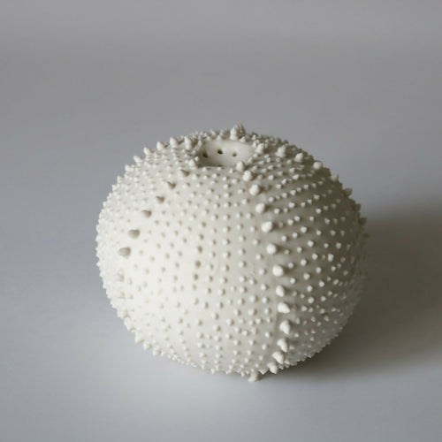 saliere_porcelaine_blanche_oursin_cglabsete copie | EMPREINTES Paris - EMPREINTES Paris