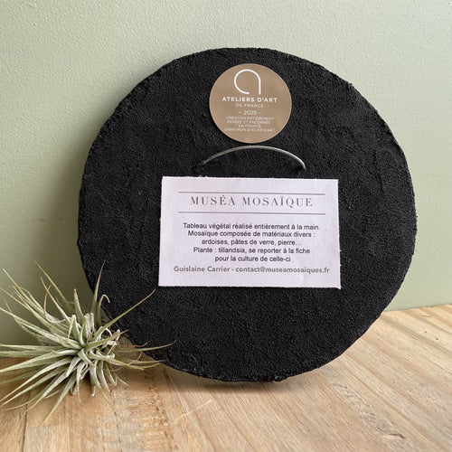 tableau_vegetal_mosaique_noir_dore_tillandsia_cupules_de_glands_musea_mosaique copie | EMPREINTES Paris - EMPREINTES Paris