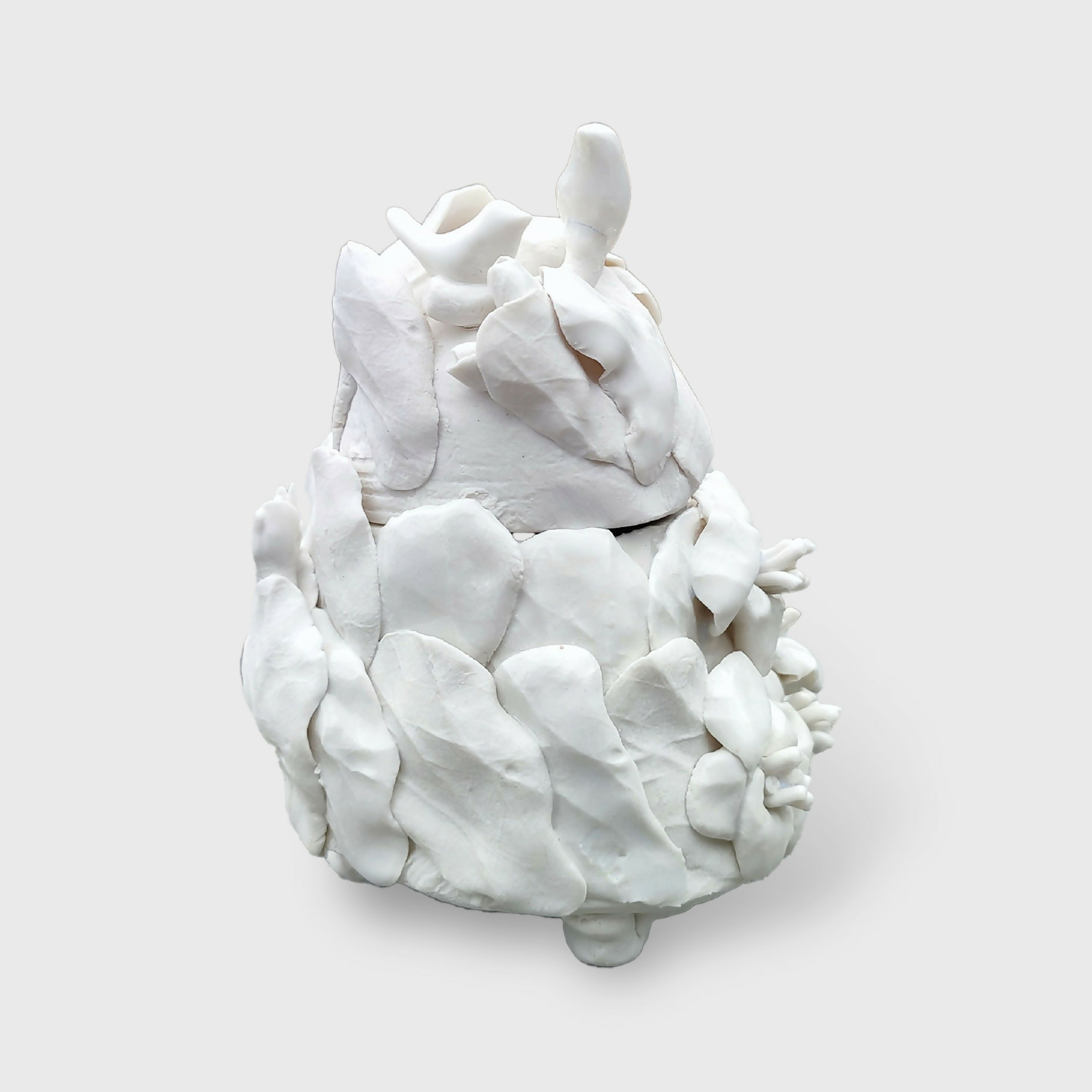 boite_oiseaux_pour_bijoux_ou_autre_tresor_sophie_luline_ceramiste copie | EMPREINTES Paris