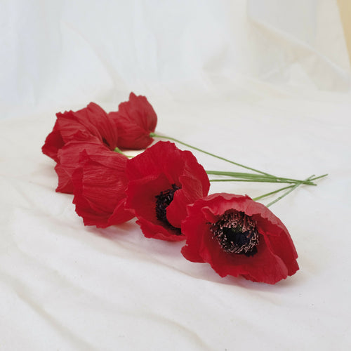 QiHYalWv0z | EMPREINTES Paris - EMPREINTES Paris