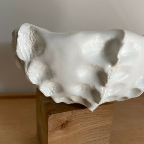 coupe_octopus_anne_sophie_boulogne copie | EMPREINTES Paris - EMPREINTES Paris