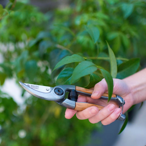 eVmWYiNI9K | EMPREINTES Paris - EMPREINTES Paris