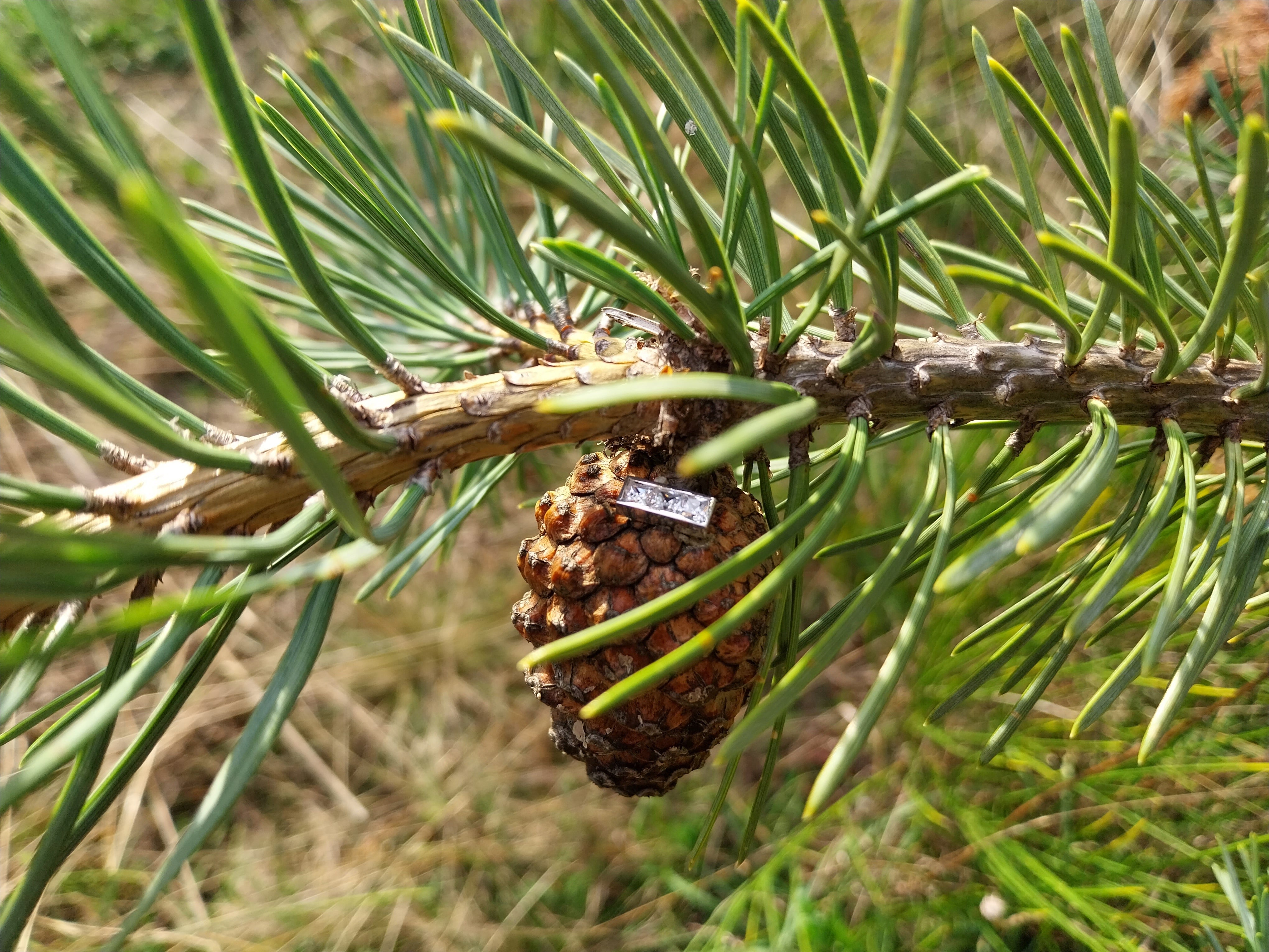 L’Atelier Pépite | EMPREINTES Paris