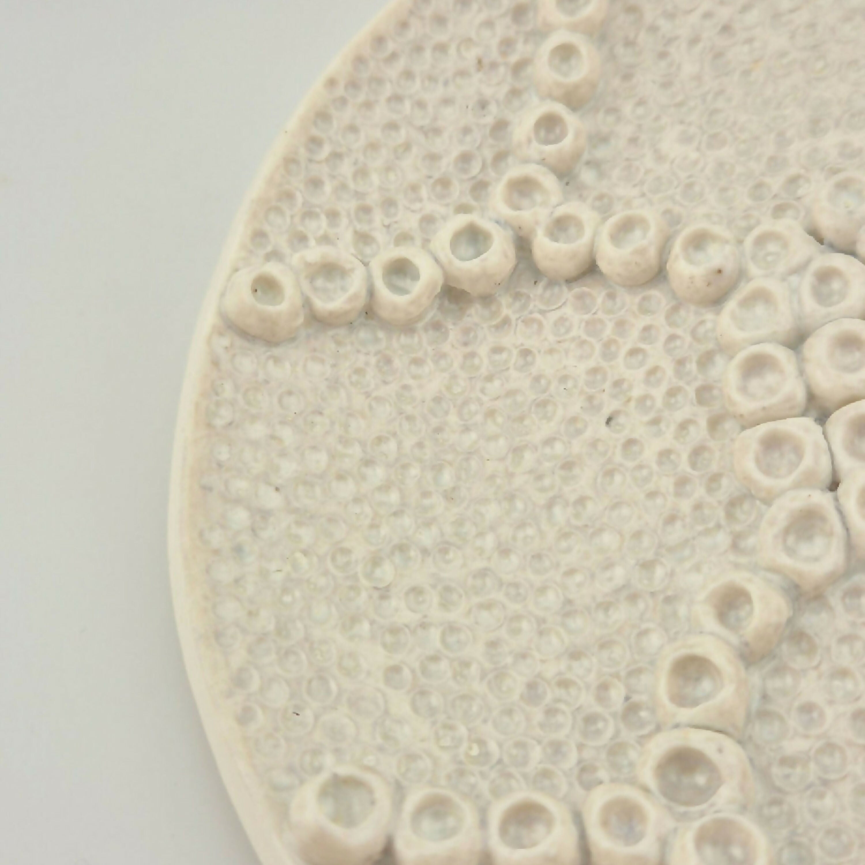 plat_en_porcelaine_collection_corail_atelier_coccinelle copie | EMPREINTES Paris