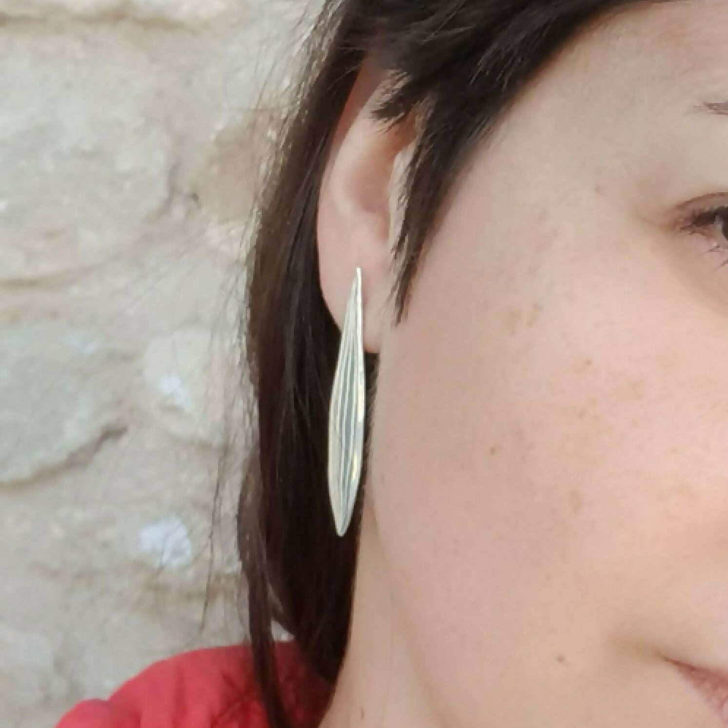 Grandes puces feuilles d