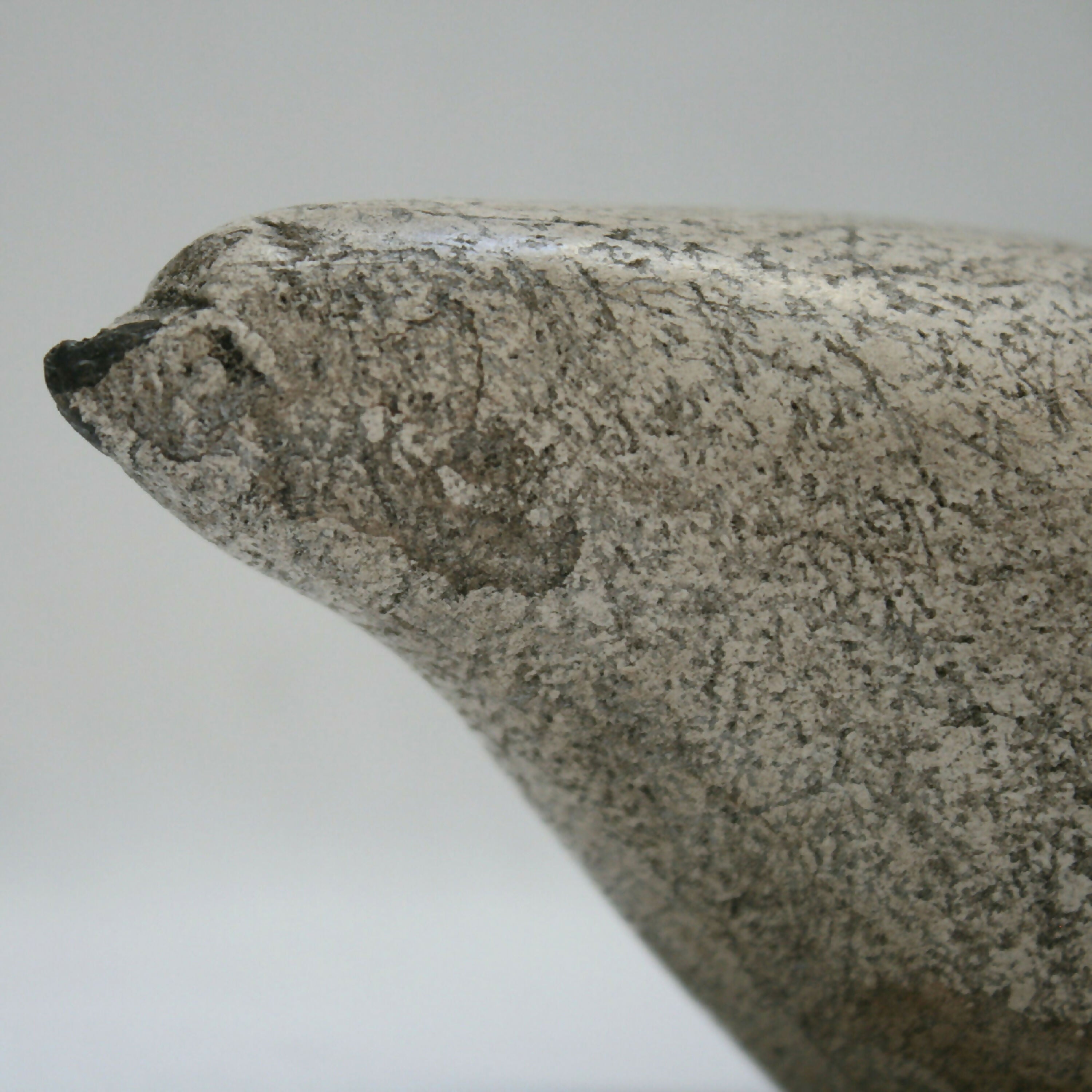 W7KBXiIPuk | EMPREINTES Paris