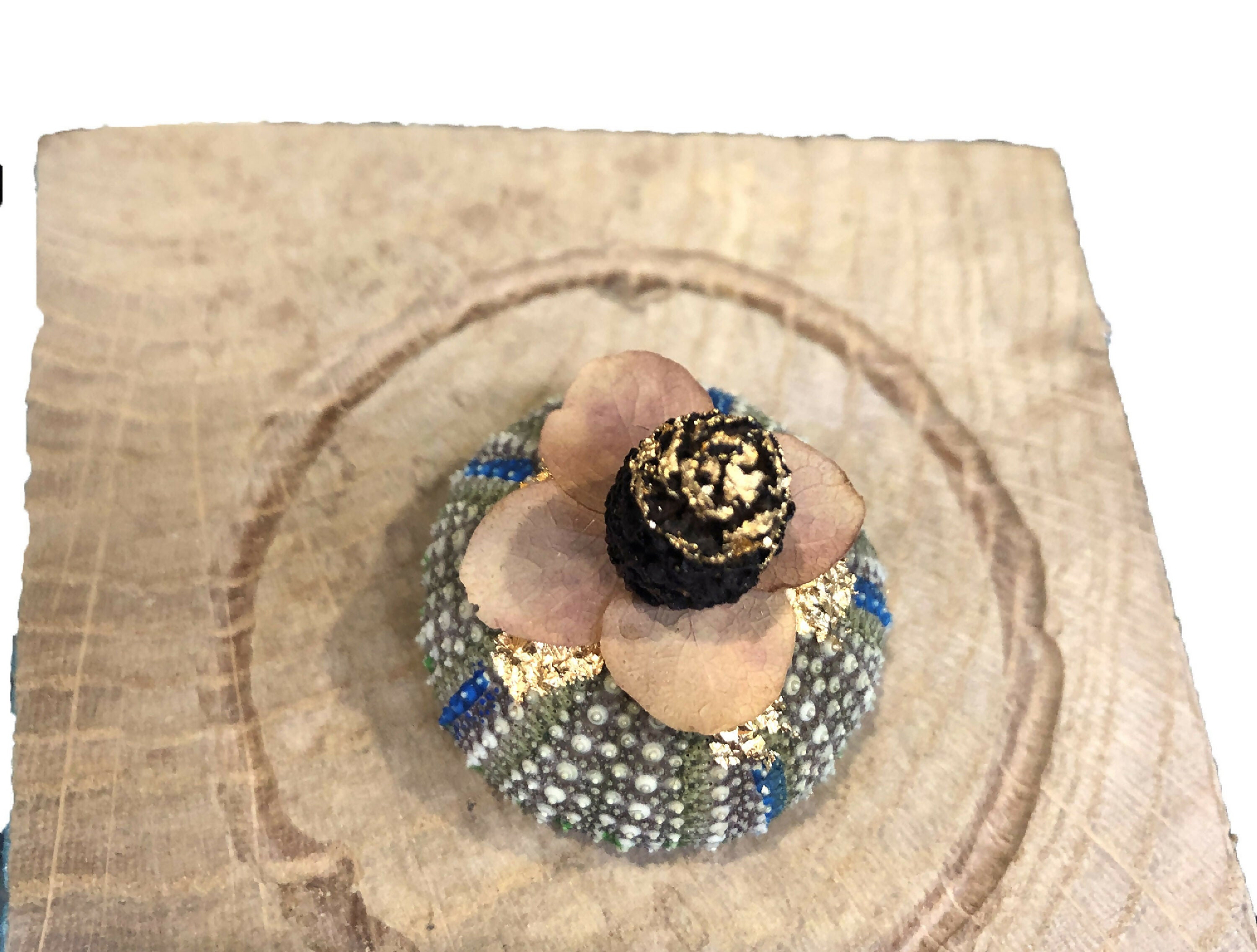 composition_oursin_fleuri_creaturquoise copie | EMPREINTES Paris