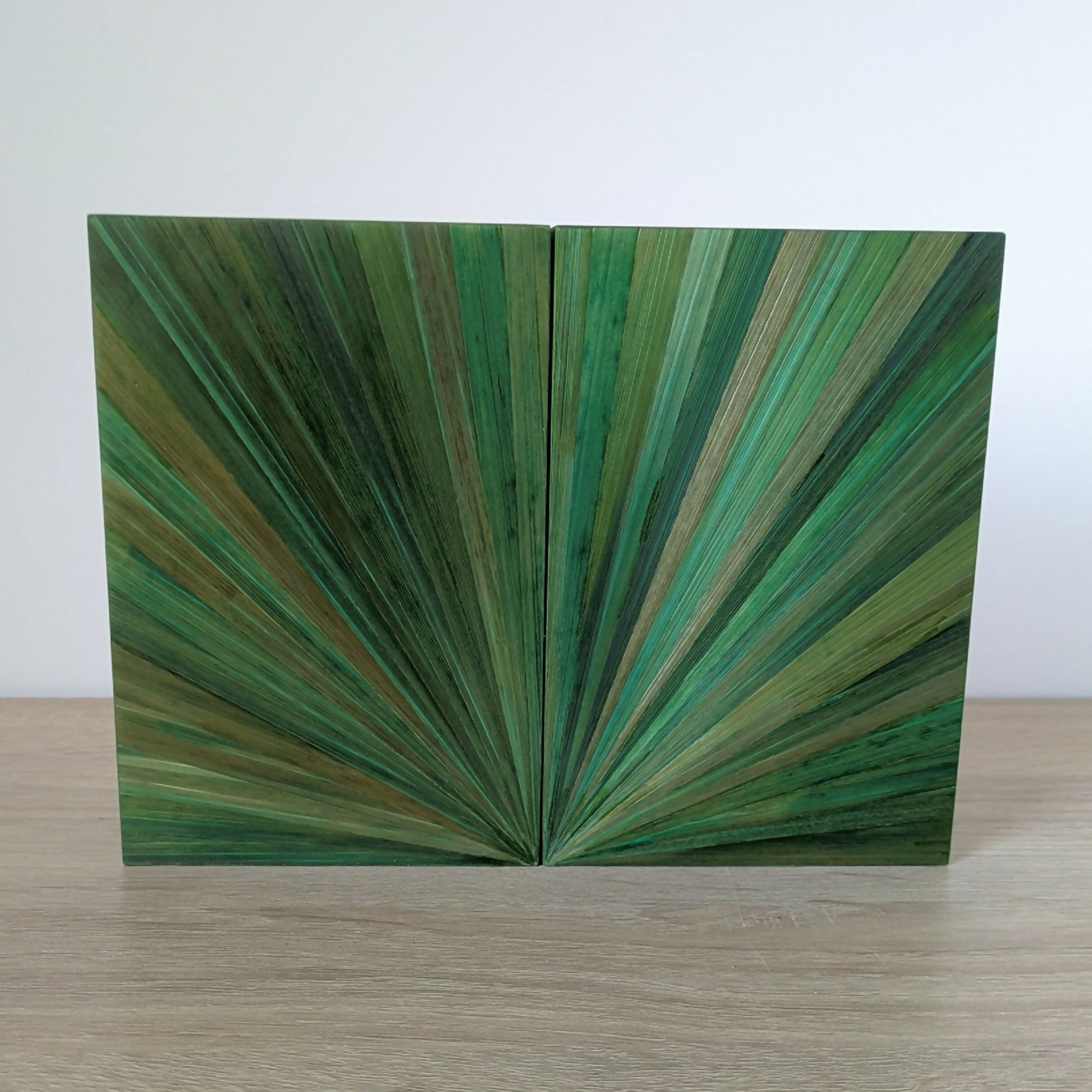 duo_de_serre_livres_avec_marqueterie_de_paille_verte_jerome_ebenisterie copie | EMPREINTES Paris