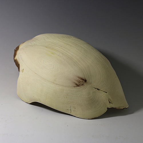 Mille visages | EMPREINTES Paris - EMPREINTES Paris