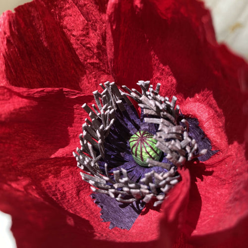 QiHYalWv0z | EMPREINTES Paris - EMPREINTES Paris