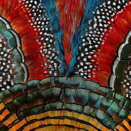 tiptyque_tokyo_fanny_litzia copie | EMPREINTES Paris - EMPREINTES Paris