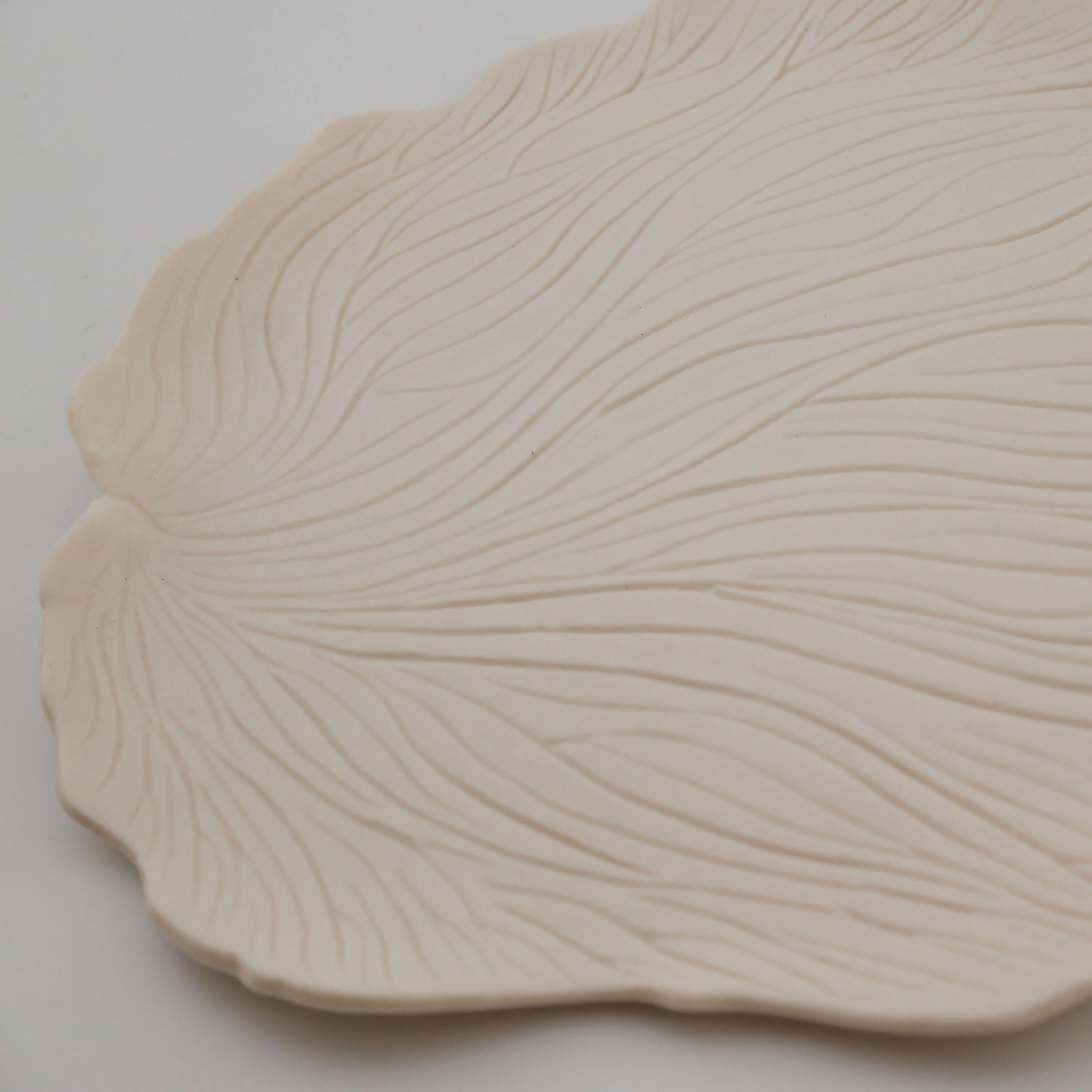 assiettes_coupelle_collection_corail_riviere_atelier_coccinelle | EMPREINTES Paris