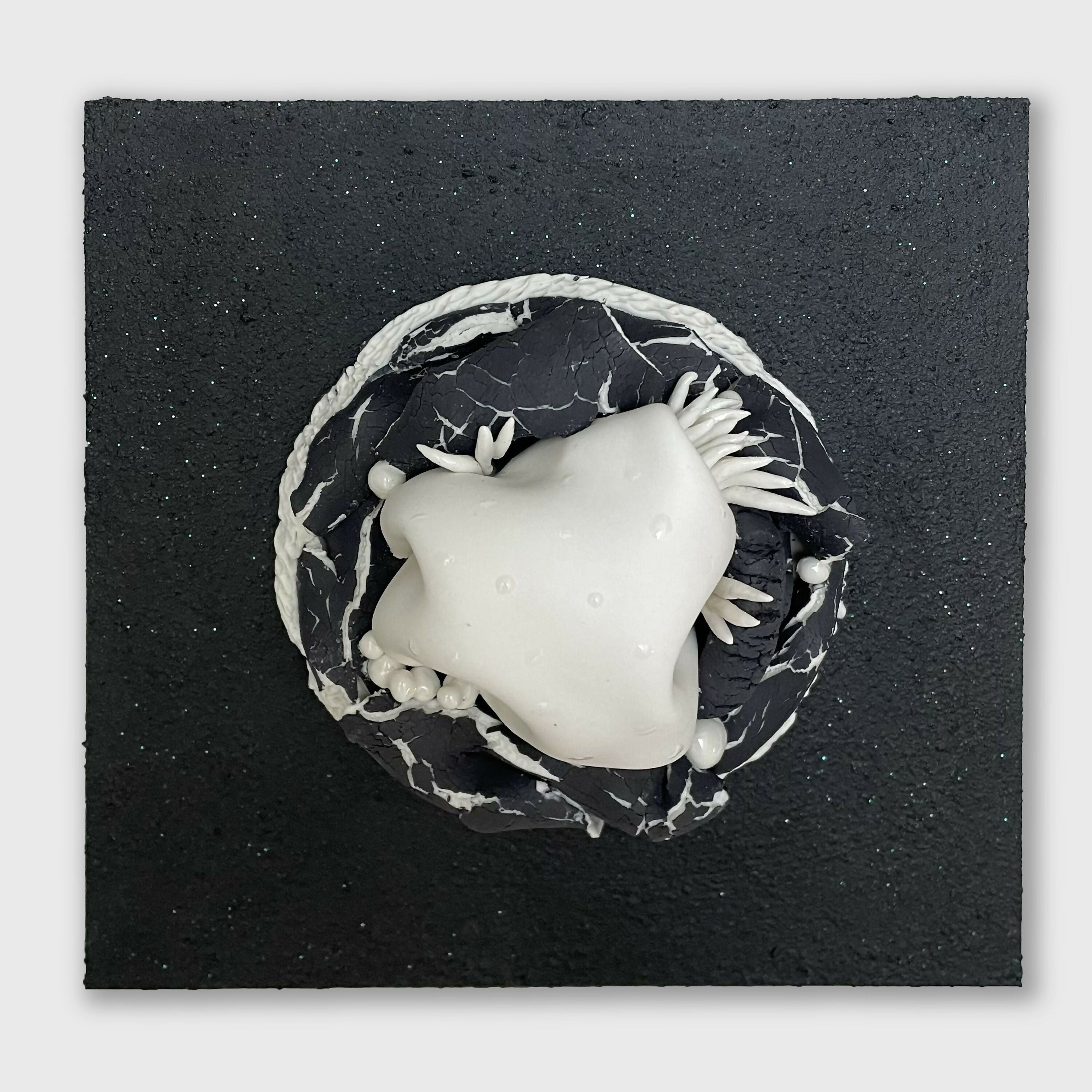 Bas relief tableau porcelaine collection Planète 1 | EMPREINTES Paris