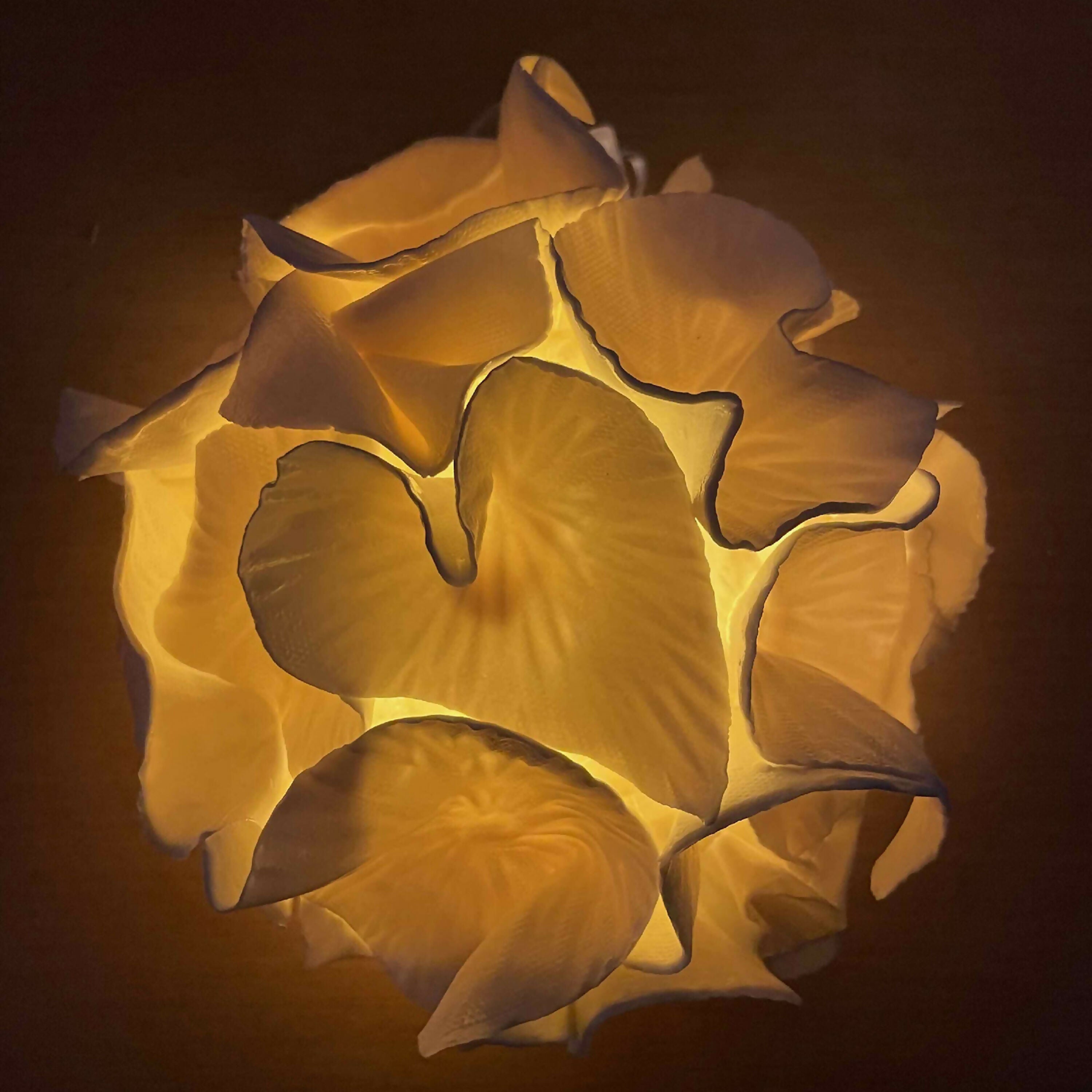 Sculpture lumineuse Anthéa 1 | EMPREINTES Paris