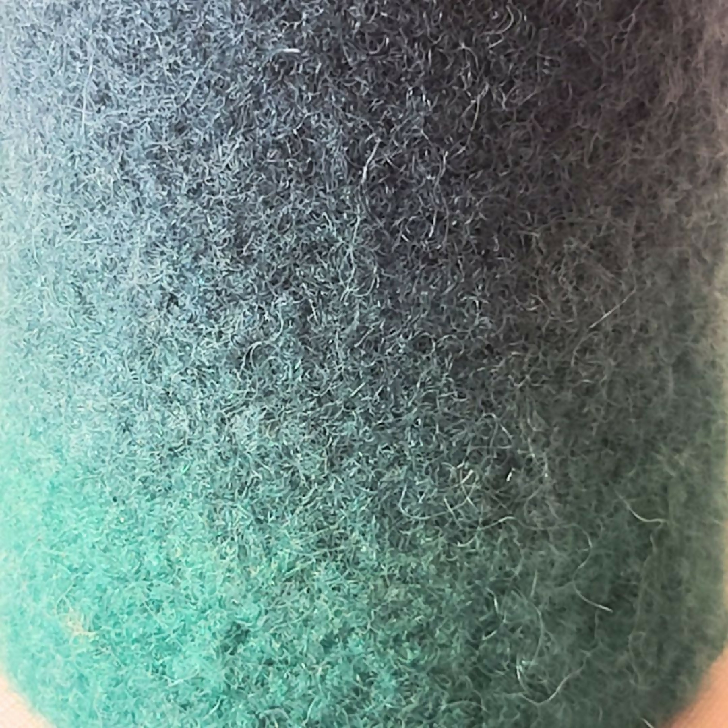 soliflore_bleu_n°1_romera_lana copie | EMPREINTES Paris