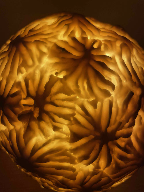 Lampe Sculpture Coralia 3 | EMPREINTES Paris - EMPREINTES Paris