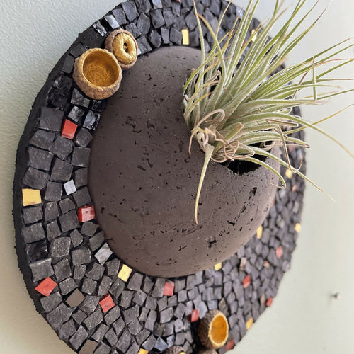 tableau_vegetal_mosaique_noir_dore_tillandsia_cupules_de_glands_musea_mosaique copie | EMPREINTES Paris - EMPREINTES Paris