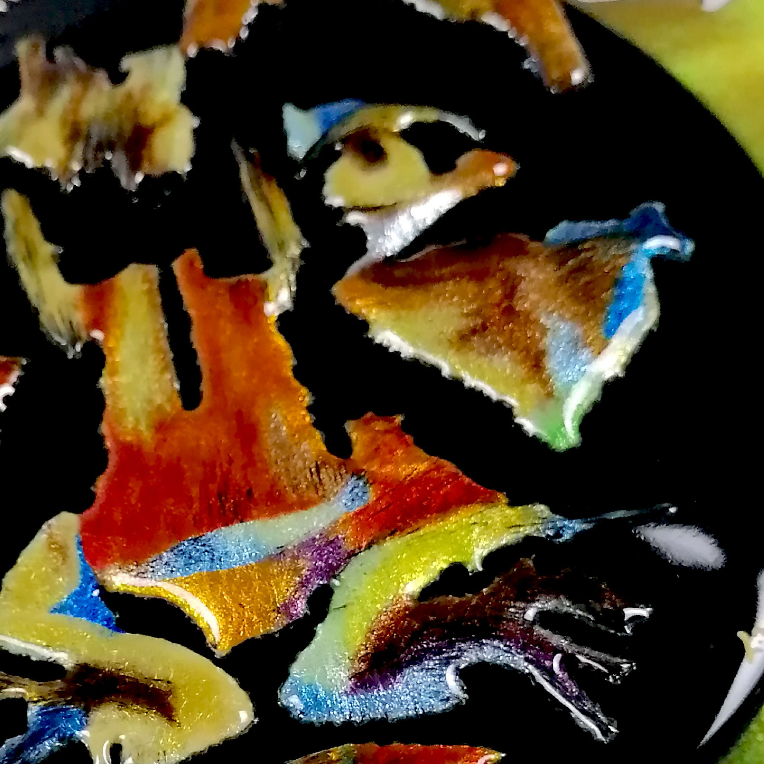 Color Panther - Décoration murale en émail 3D sur cuivre | EMPREINTES Paris