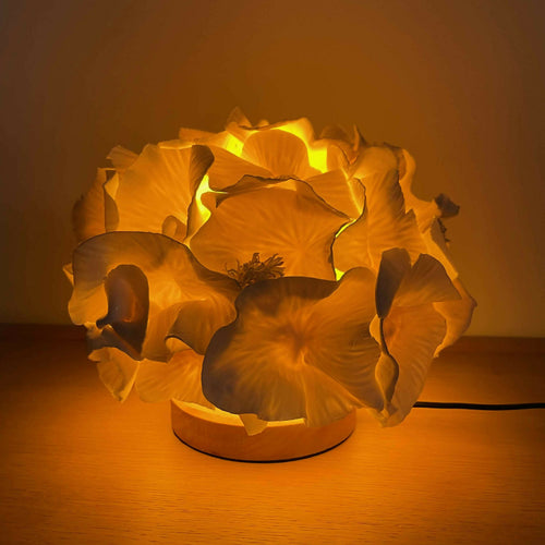 Lampe Sculpture Anthéa 4 | EMPREINTES Paris - EMPREINTES Paris