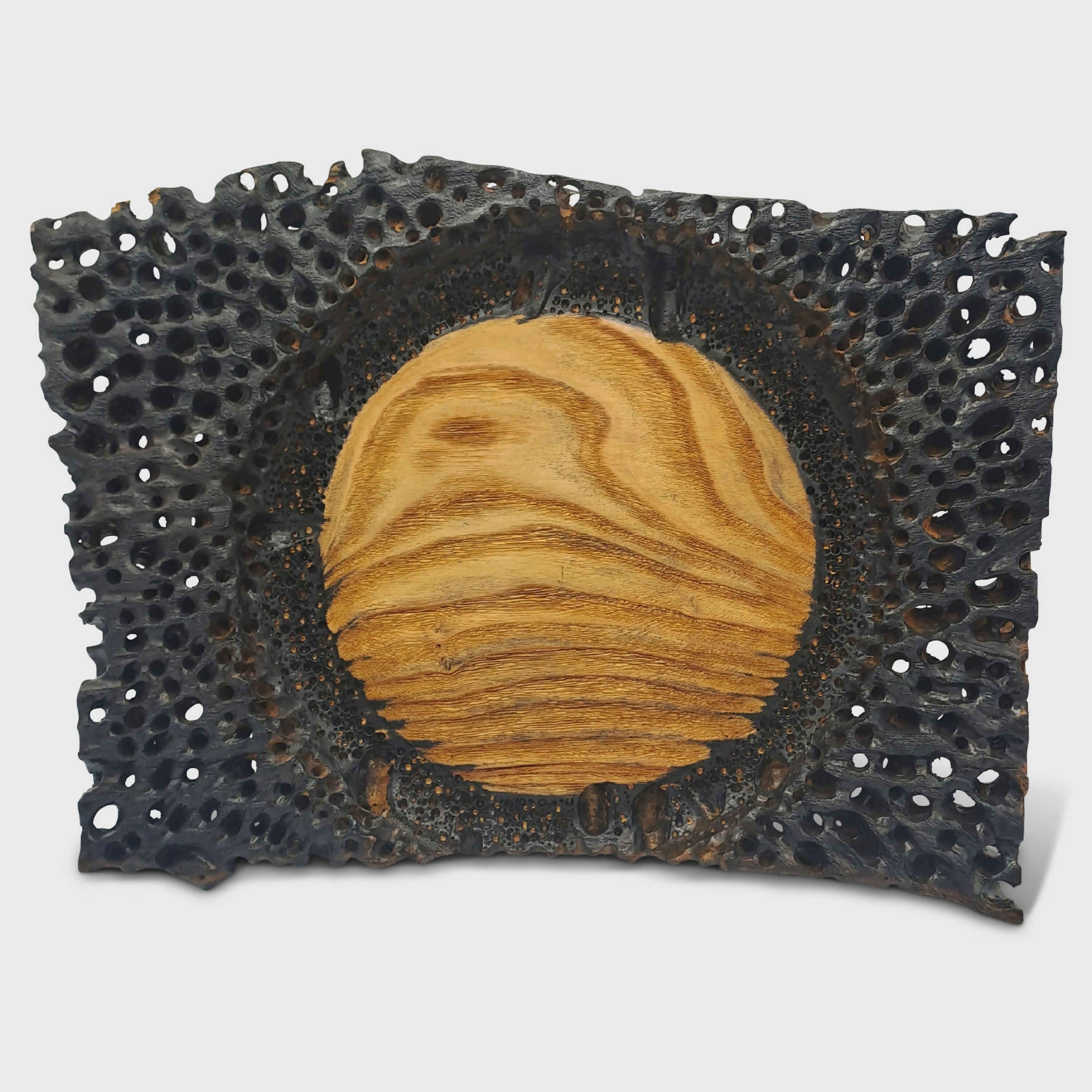 Sculpture murale De la nature à la nature | EMPREINTES Paris