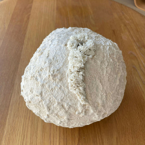 Sculpture Palingensia | EMPREINTES Paris - EMPREINTES Paris