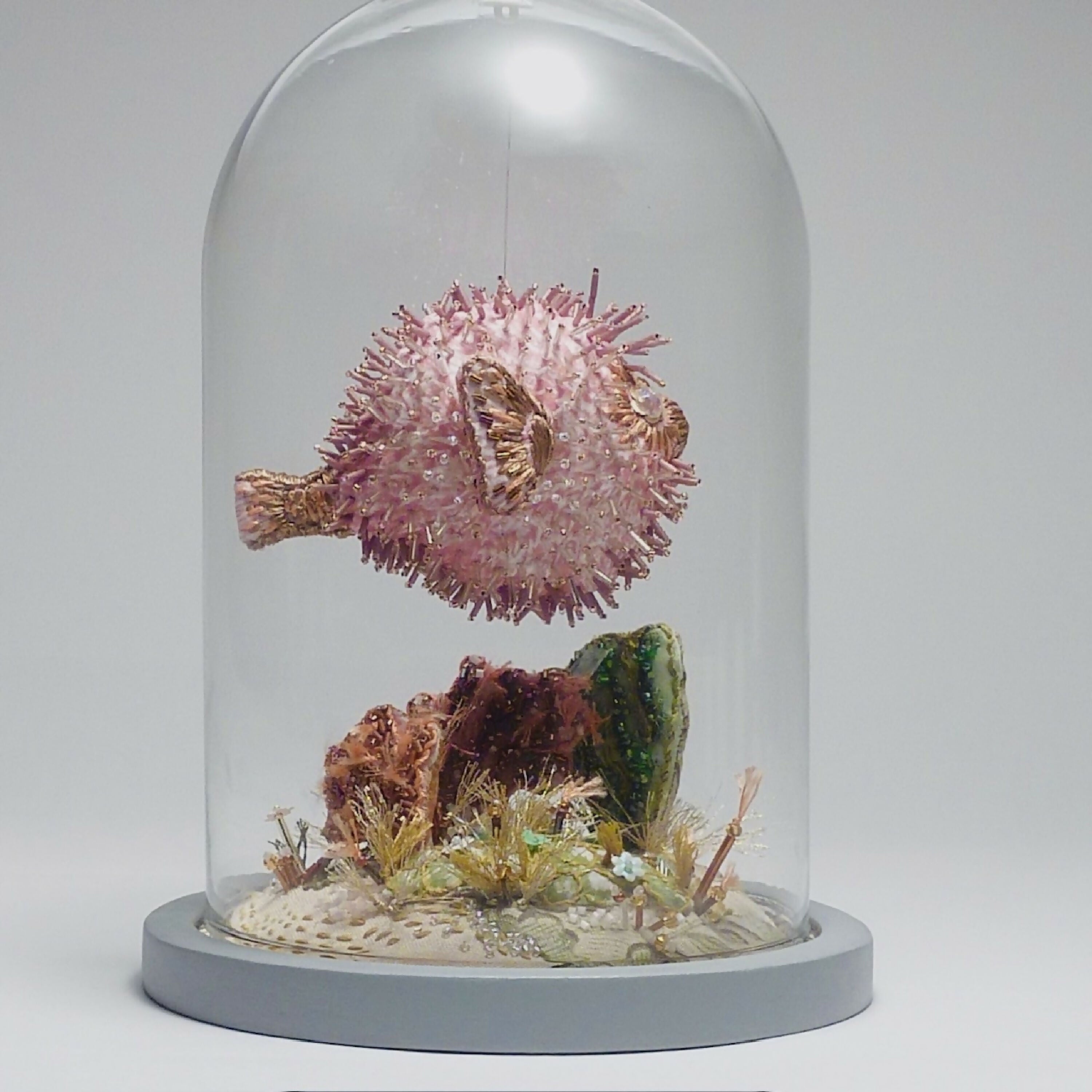 Petit Diodon rose dans son bocal | EMPREINTES Paris