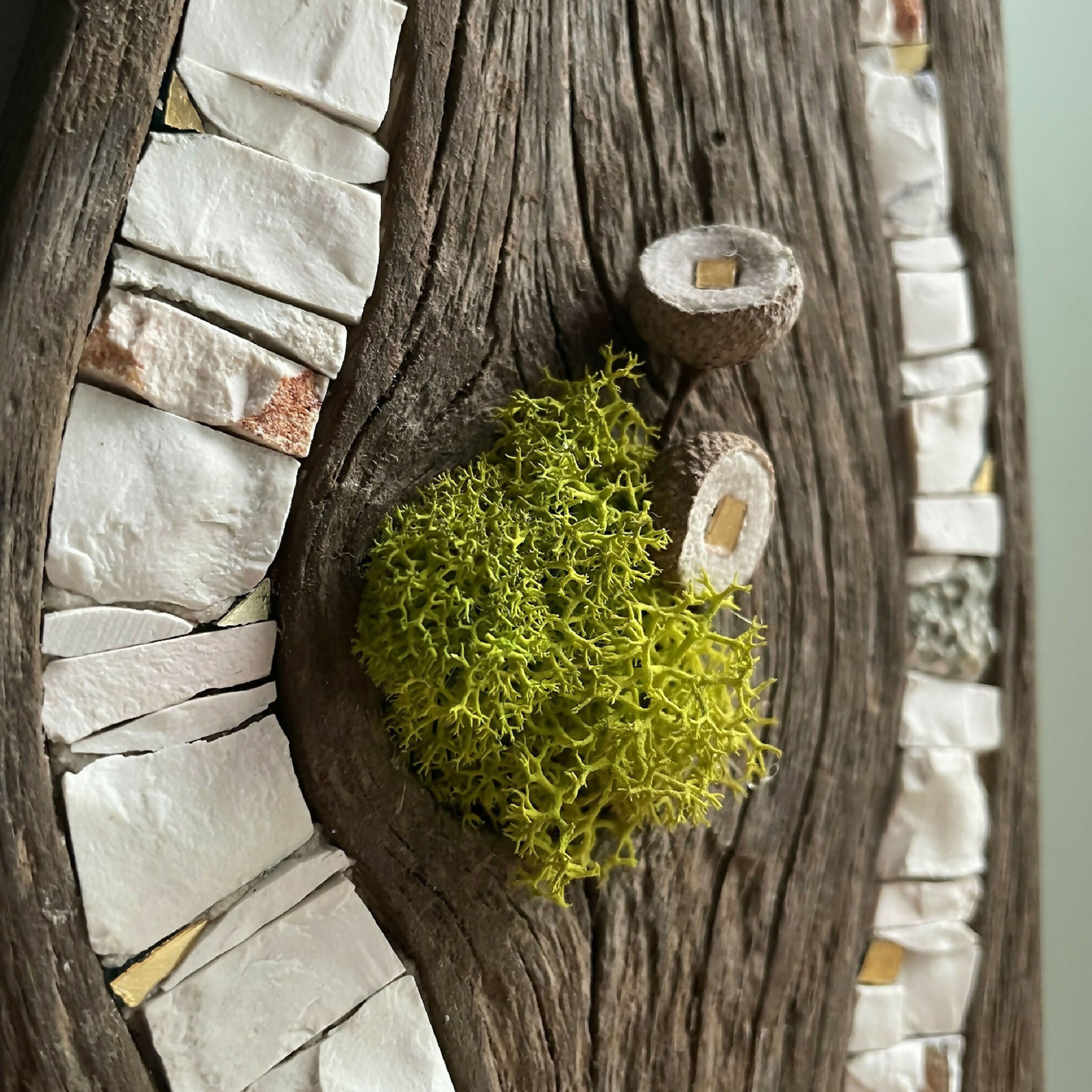 tableau_bois_mosaique_lichen_cupules_musea_mosaique copie | EMPREINTES Paris