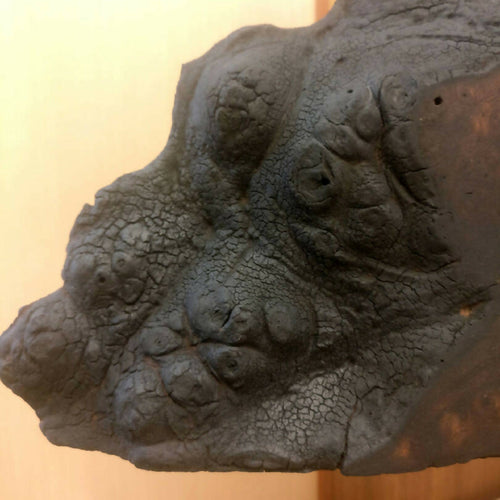 0dvGuQLtwu | EMPREINTES Paris - EMPREINTES Paris