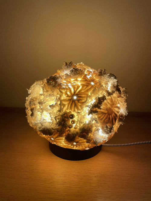 Lampe Sculpture Féeria | EMPREINTES Paris - EMPREINTES Paris