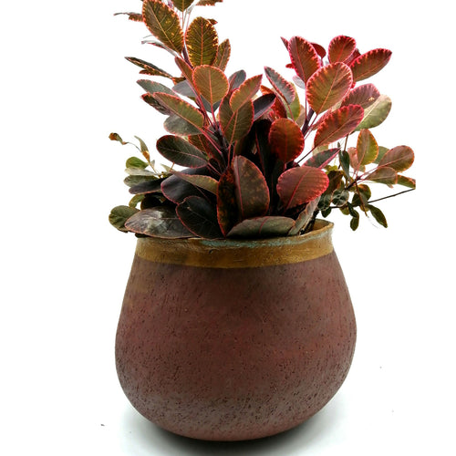 vase_anemone_blanc_tessa_guilbaud copie | EMPREINTES Paris - EMPREINTES Paris