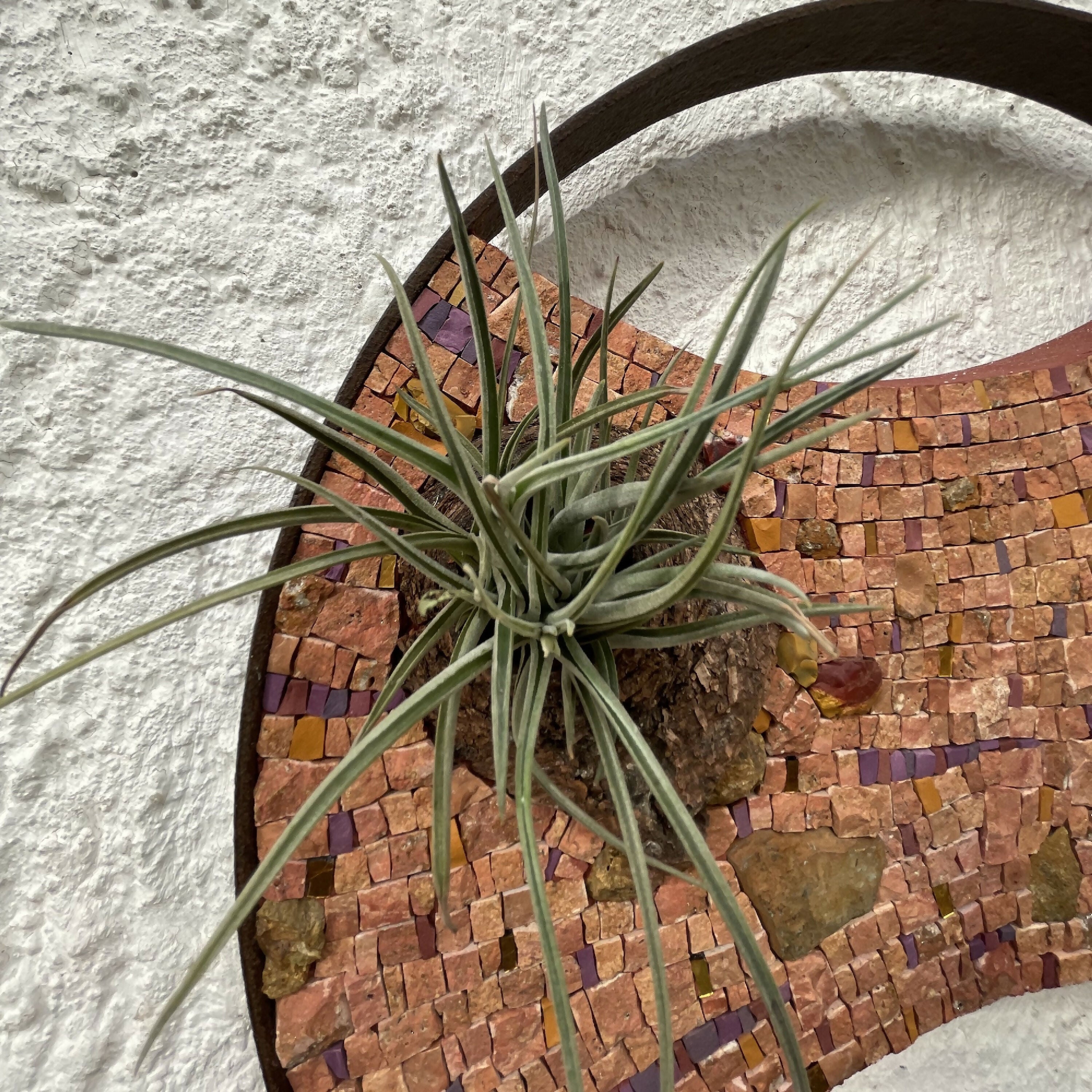 tableau_vegetal_mosaique_ocre_guislaine_carrier copie | EMPREINTES Paris