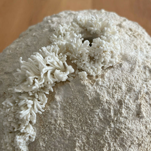 Sculpture Palingensia | EMPREINTES Paris - EMPREINTES Paris