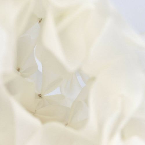 sculpture_textile_volute_floriane_schmitt_studio copie | EMPREINTES Paris - EMPREINTES Paris