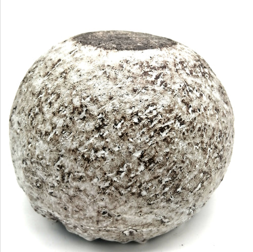 Coupe bords dentelle | EMPREINTES Paris - EMPREINTES Paris