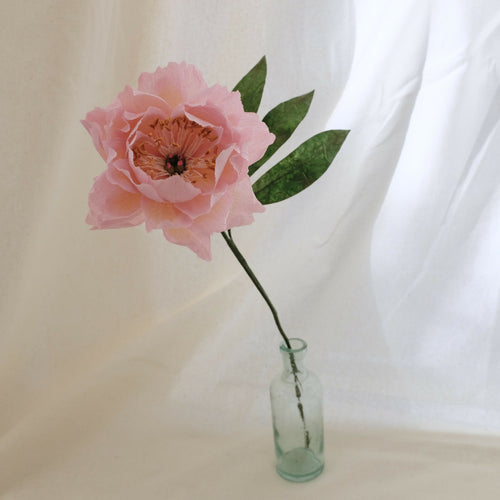 3ZZpcluD39 | EMPREINTES Paris - EMPREINTES Paris