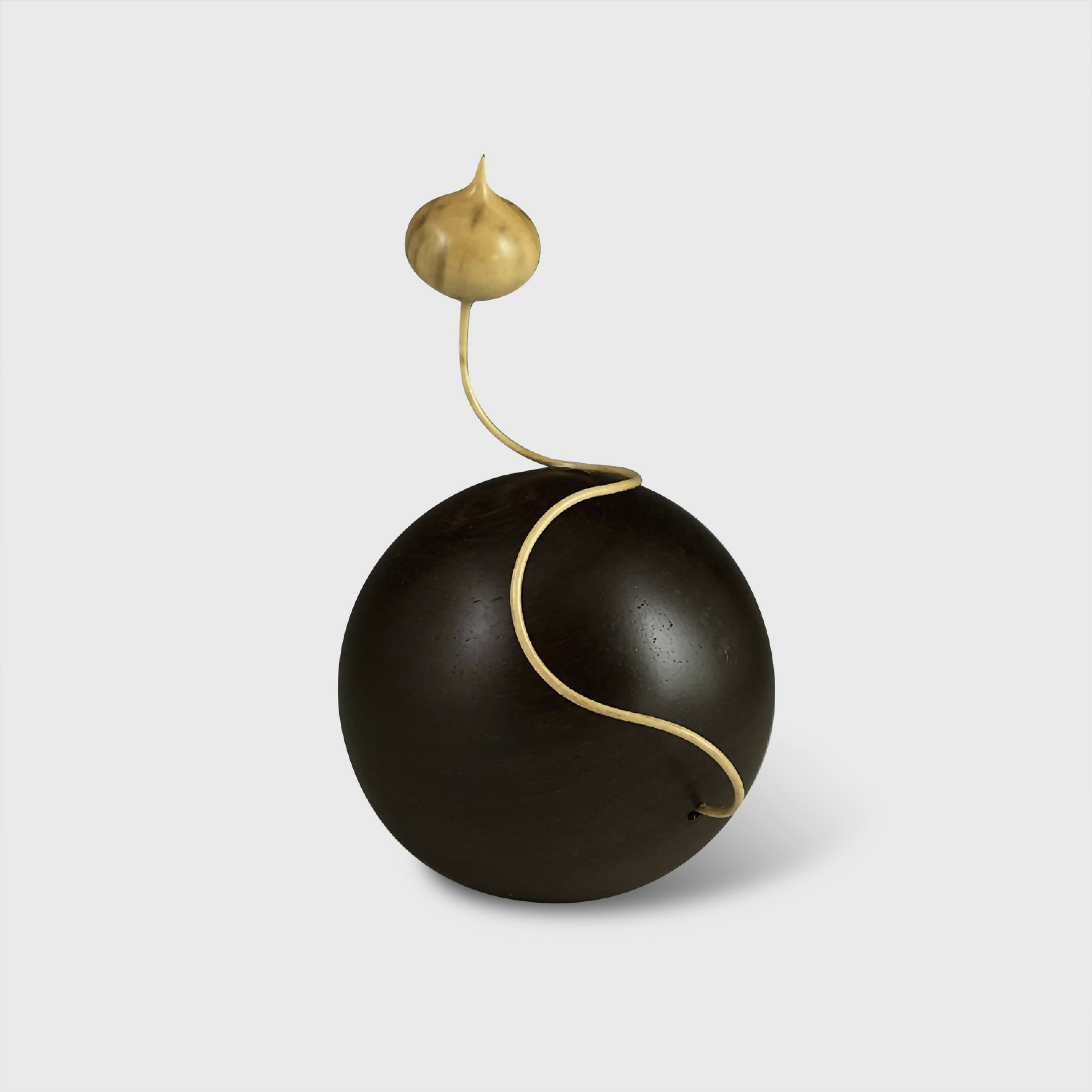 Sculpture Grandis | EMPREINTES Paris