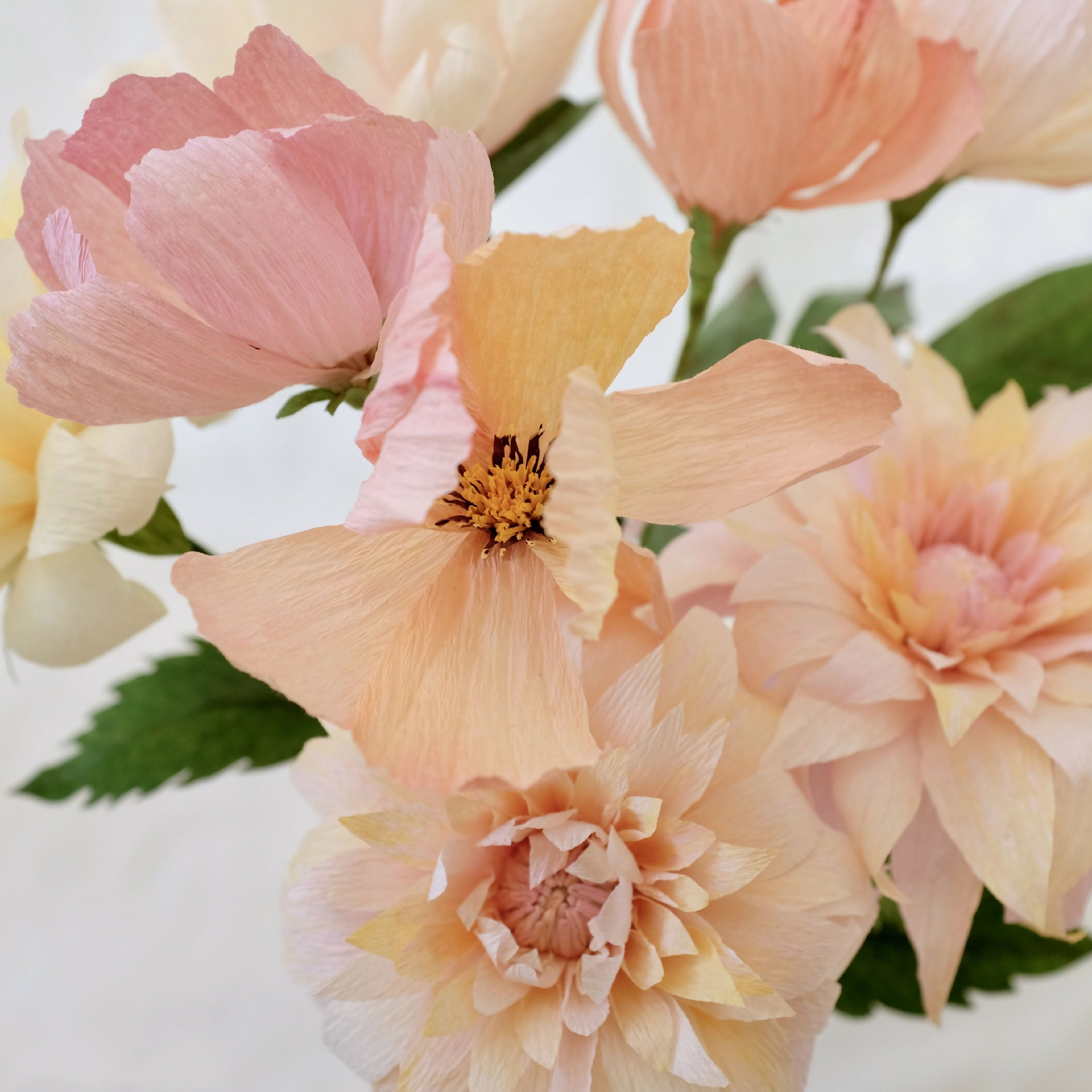 Product Image-0 | EMPREINTES Paris