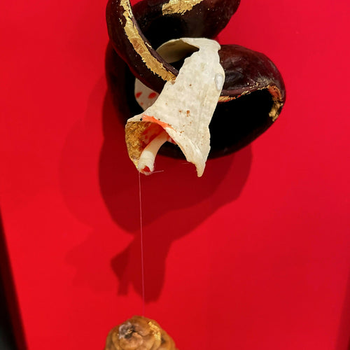 composition_coeur_flamboyant_creaturquoise copie | EMPREINTES Paris - EMPREINTES Paris