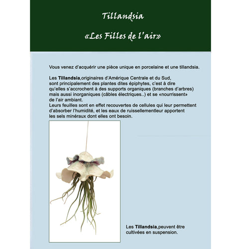sculpture_meduse_et_tillandsia_onirique_et_poetique_sophie_luline_ceramiste copie | EMPREINTES Paris - EMPREINTES Paris