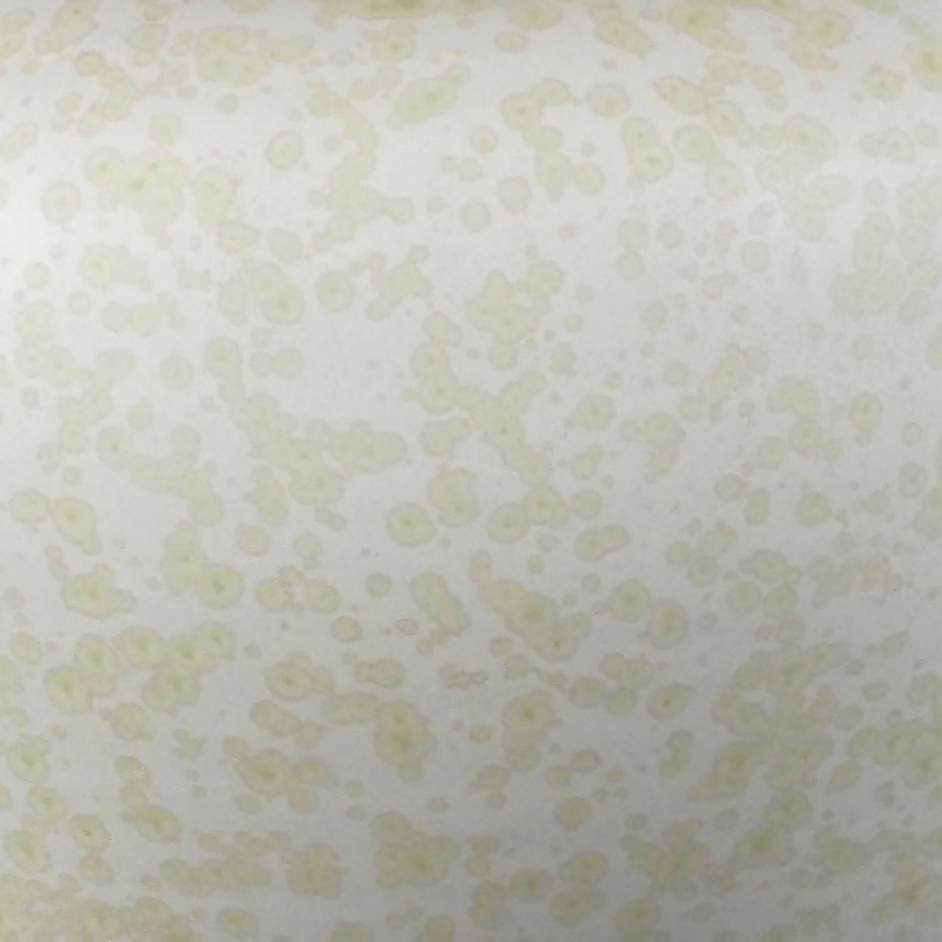 vase_69_ceramiques_atelier_ma copie | EMPREINTES Paris