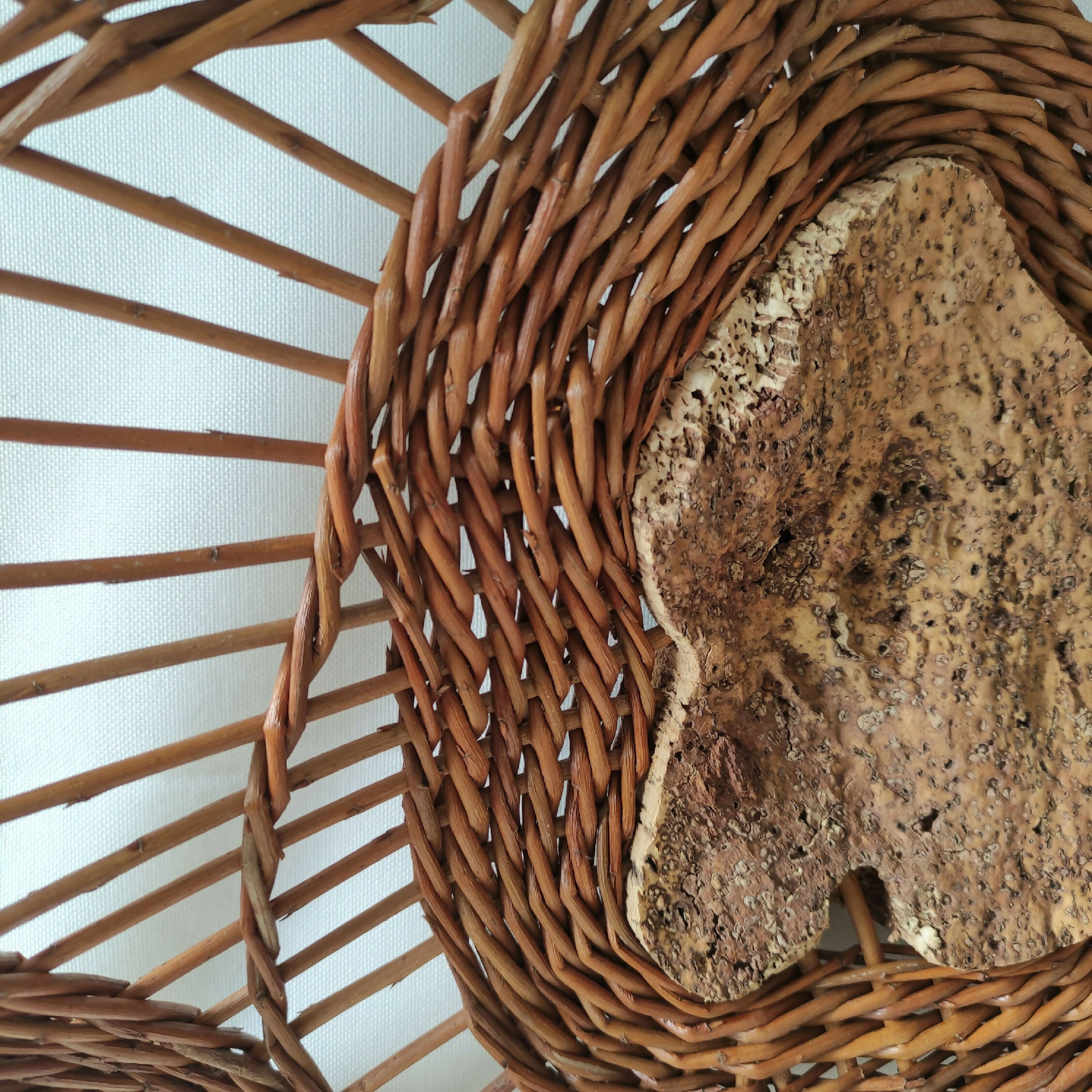 Création murale en osier brut et liège — Sous l’écorce | EMPREINTES Paris