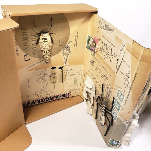 Sculpture papier Petit cabinet de curiosité | EMPREINTES Paris - EMPREINTES Paris