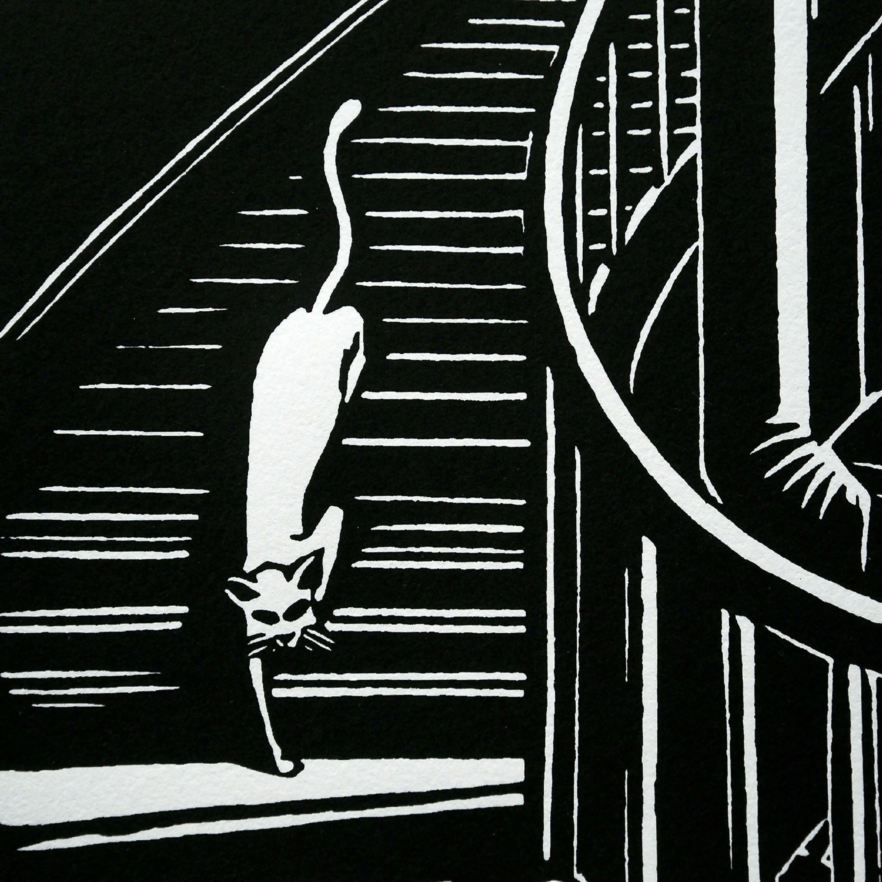 Frans Masereel : Chat dans l