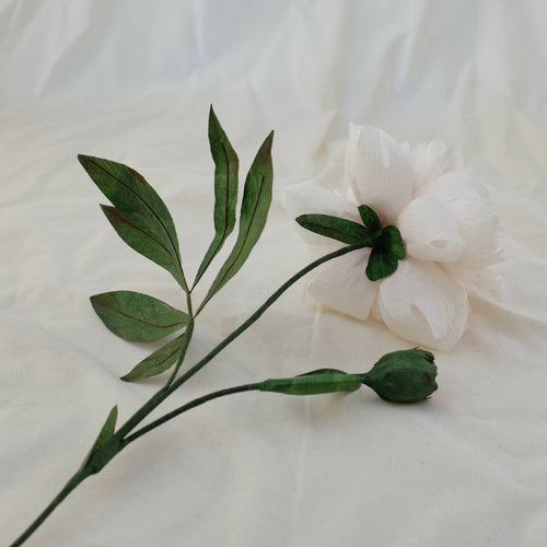 Pivoine blanche en papier | EMPREINTES Paris - EMPREINTES Paris